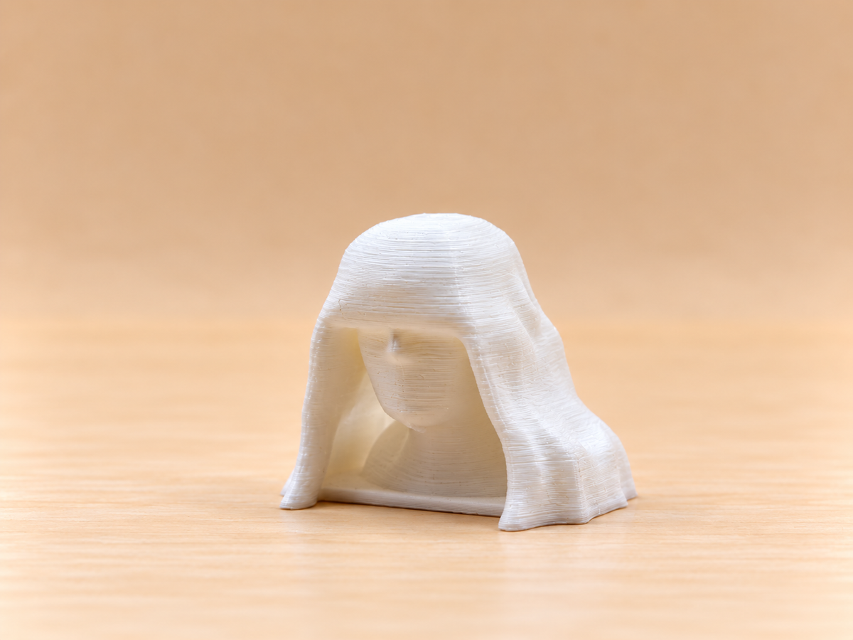 Veiled Lady