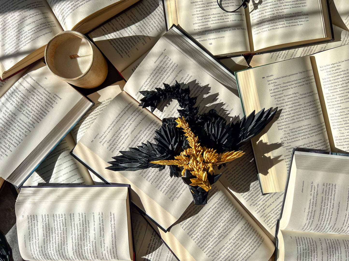 Flexible Fourth Wing Dragons