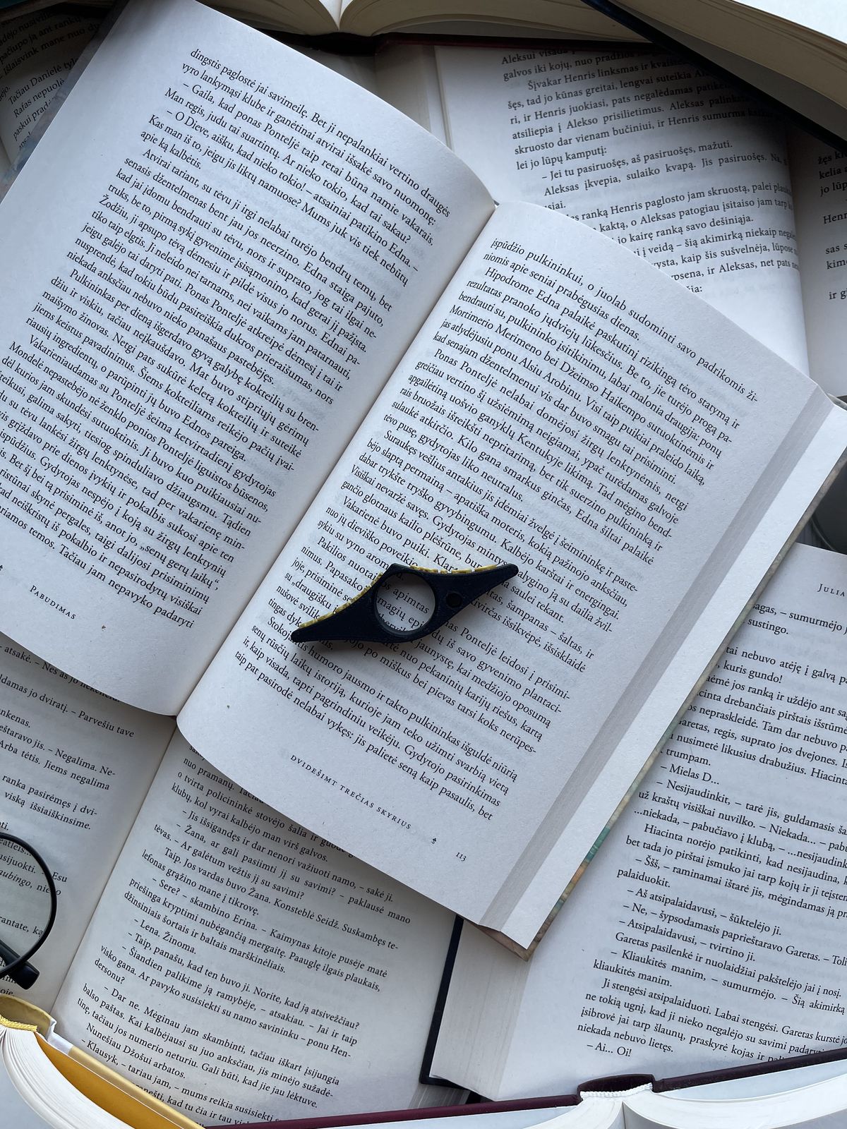 Fourth Wing Book Page Holder