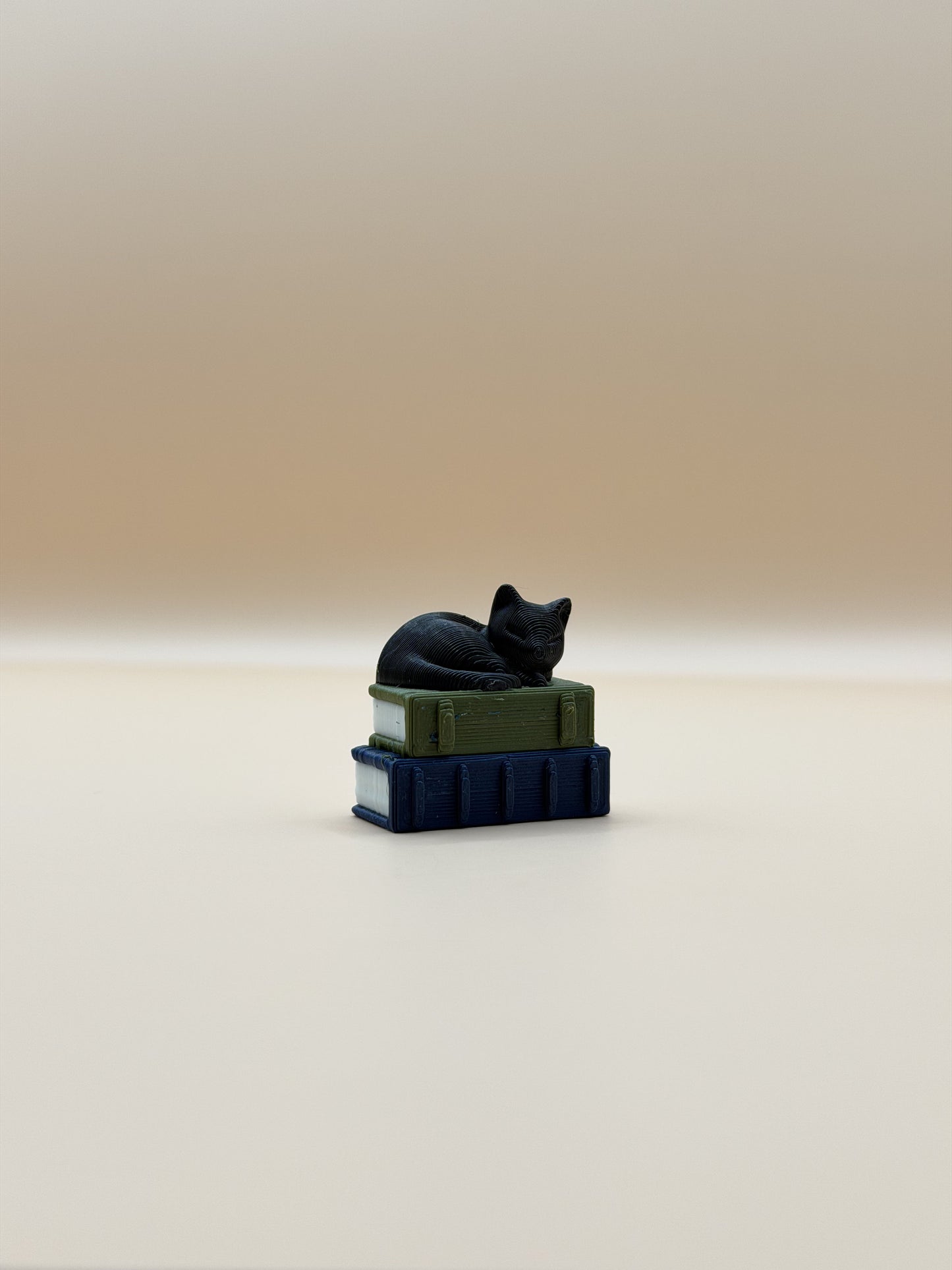 Black Cat on Books