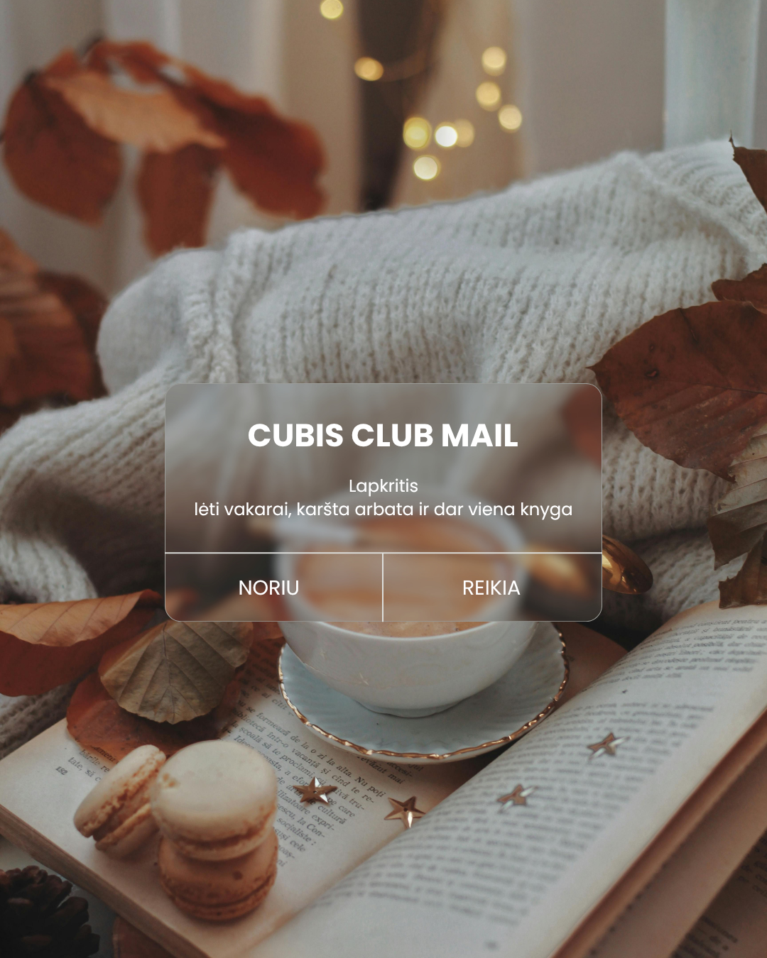 Cubis Club Mail - lapkričio laiškas 🤎