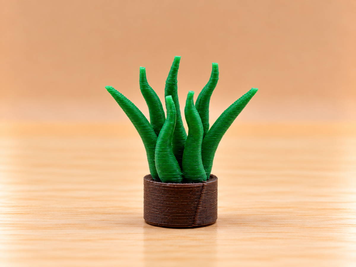 Potted Plant