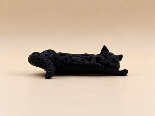 Sleeping Cat