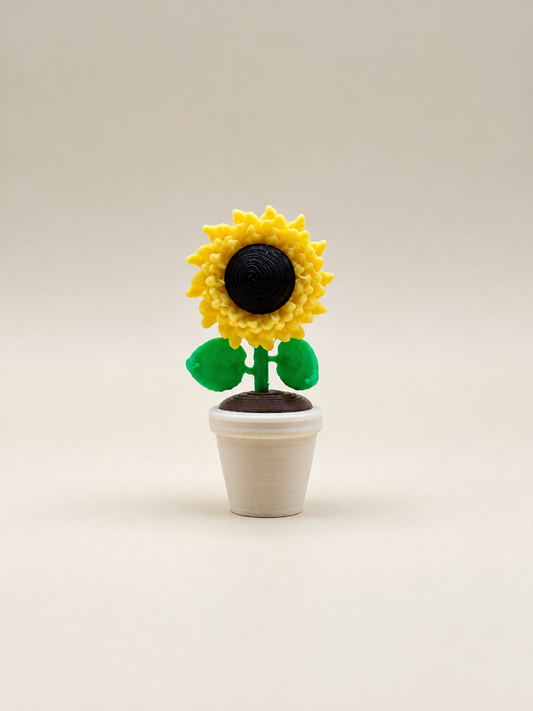 Potted Sunflower