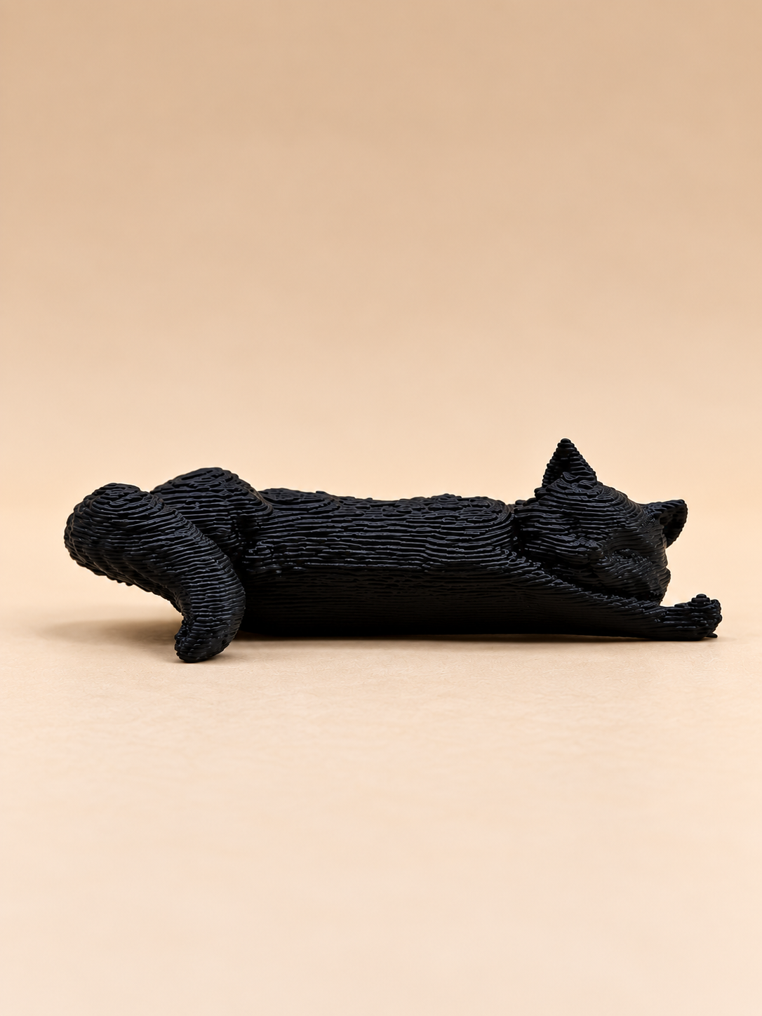 Sleeping Cat