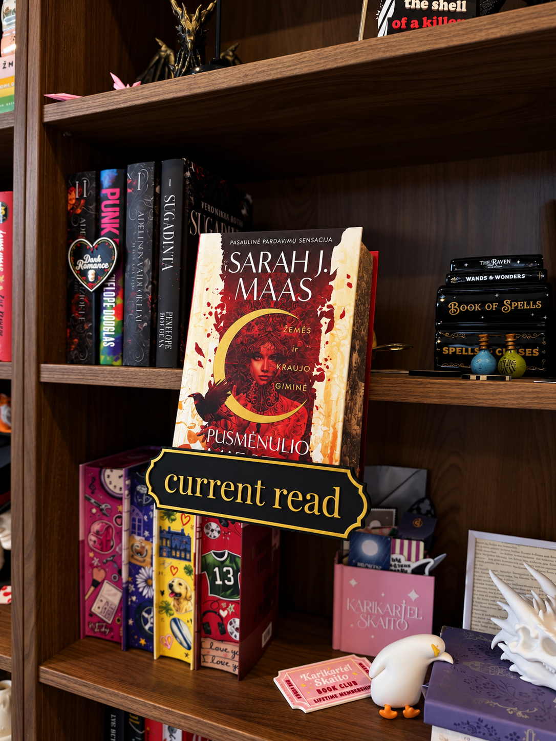 Adjustable Book Display Stand