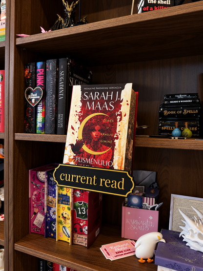 Adjustable Book Display Stand