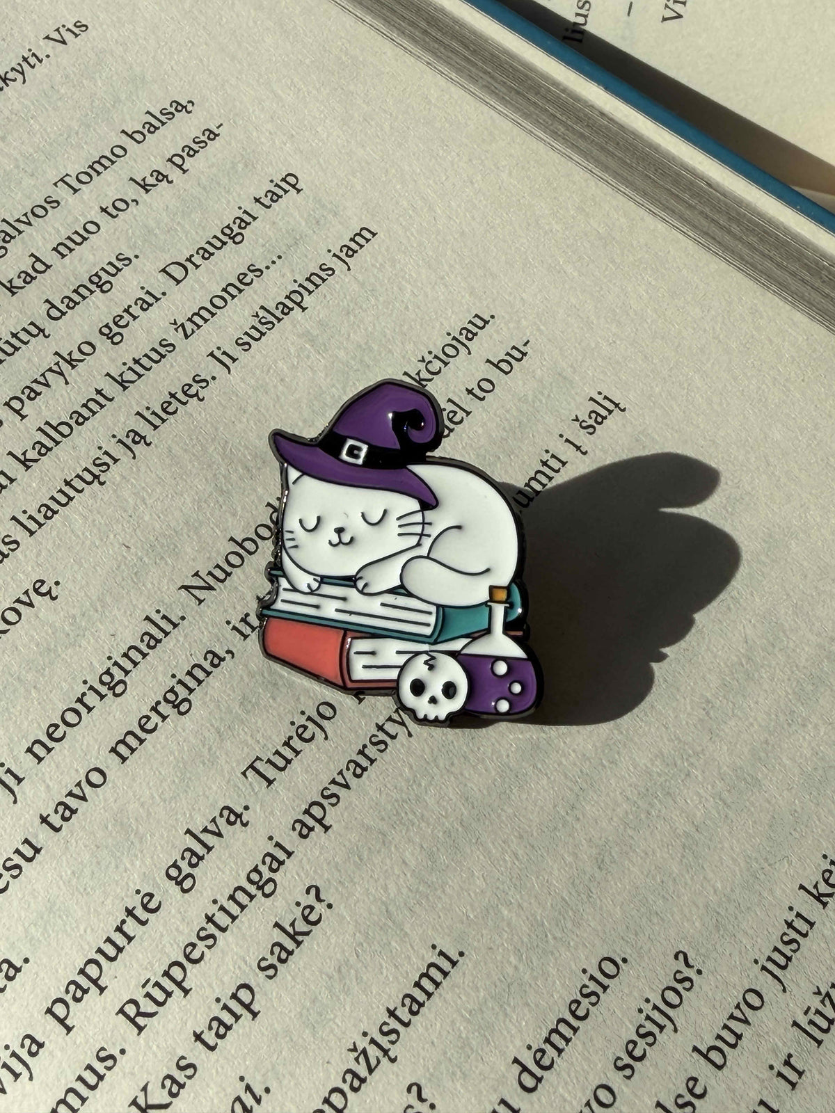 Pins "Cat with book"