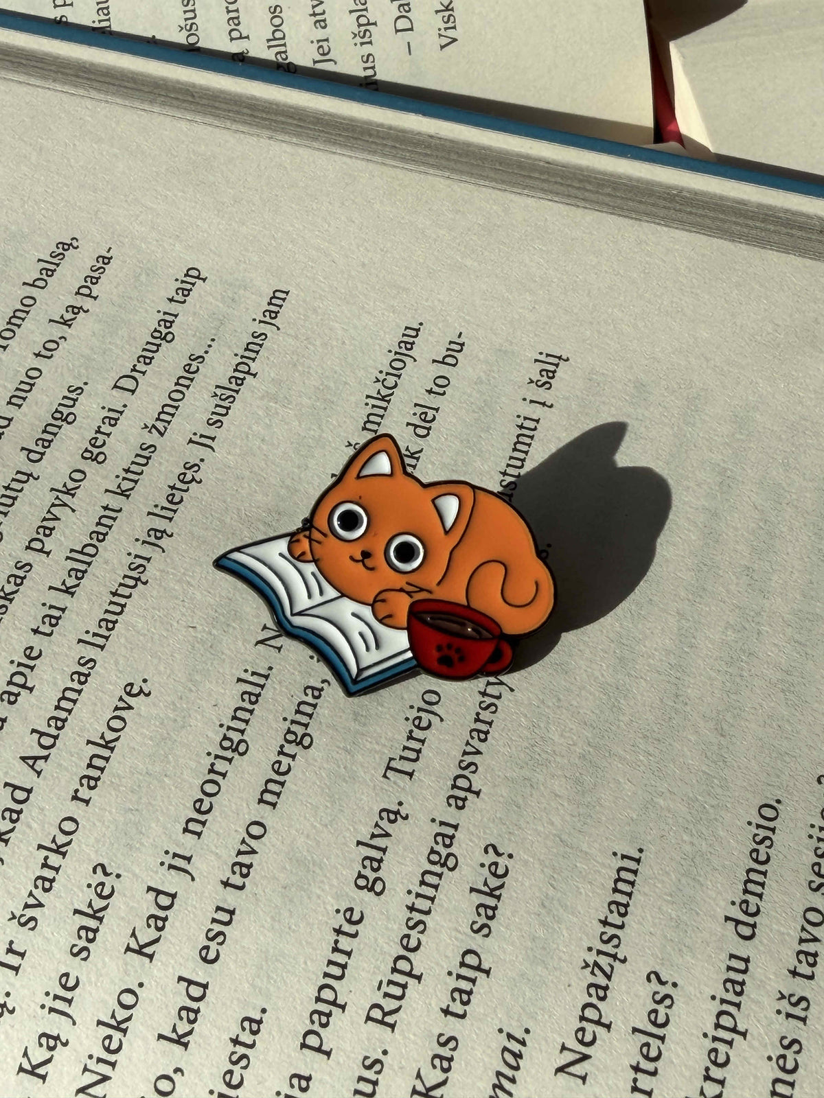 Pins "Cat with book"