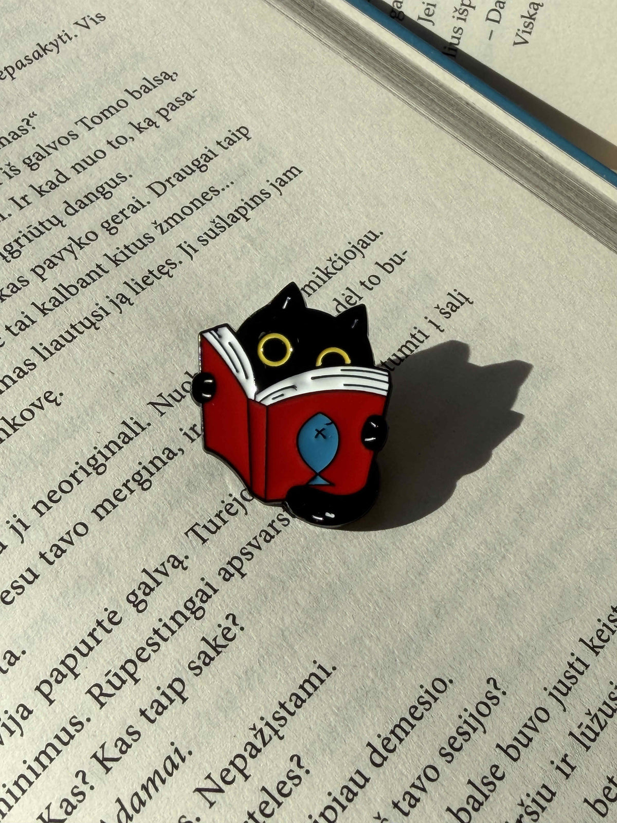 Pins "Cat with book"