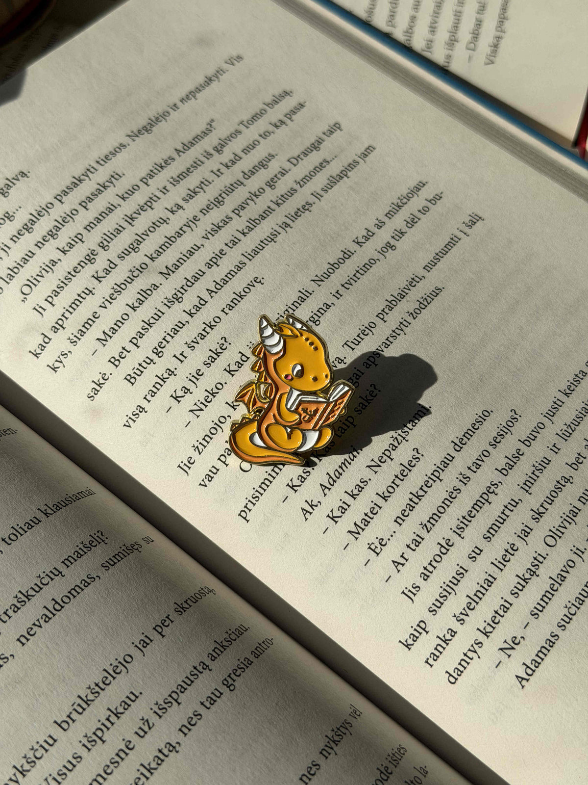 Pins "Book dragon"