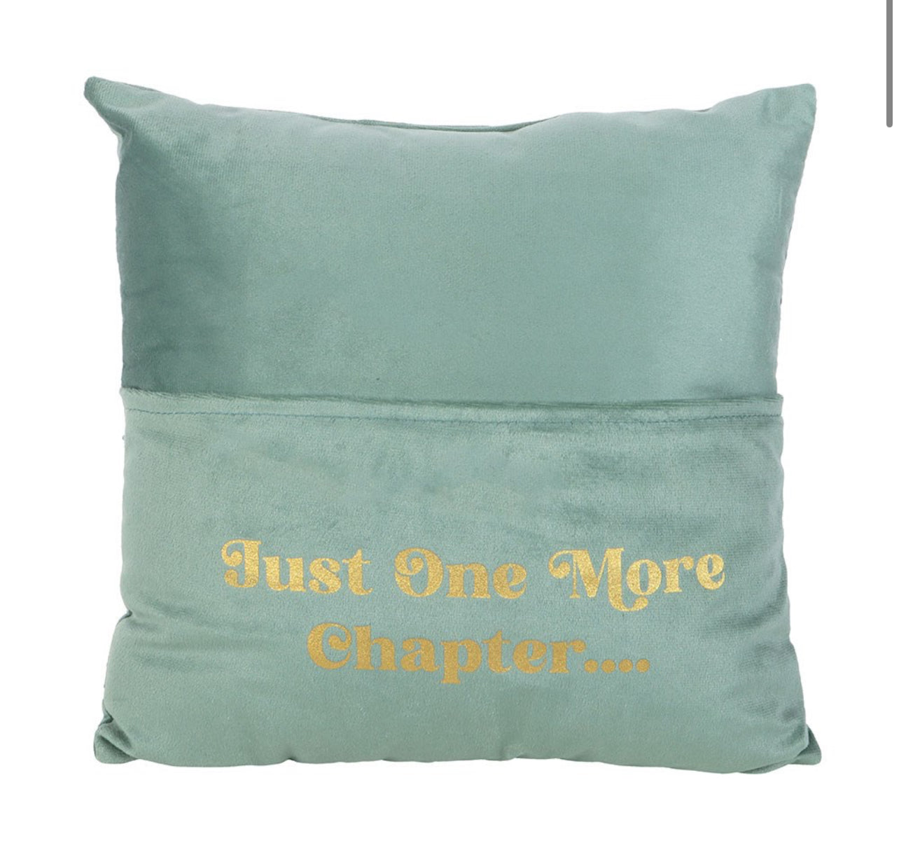 “Just One More Chapter” Cushion with Book Pocket