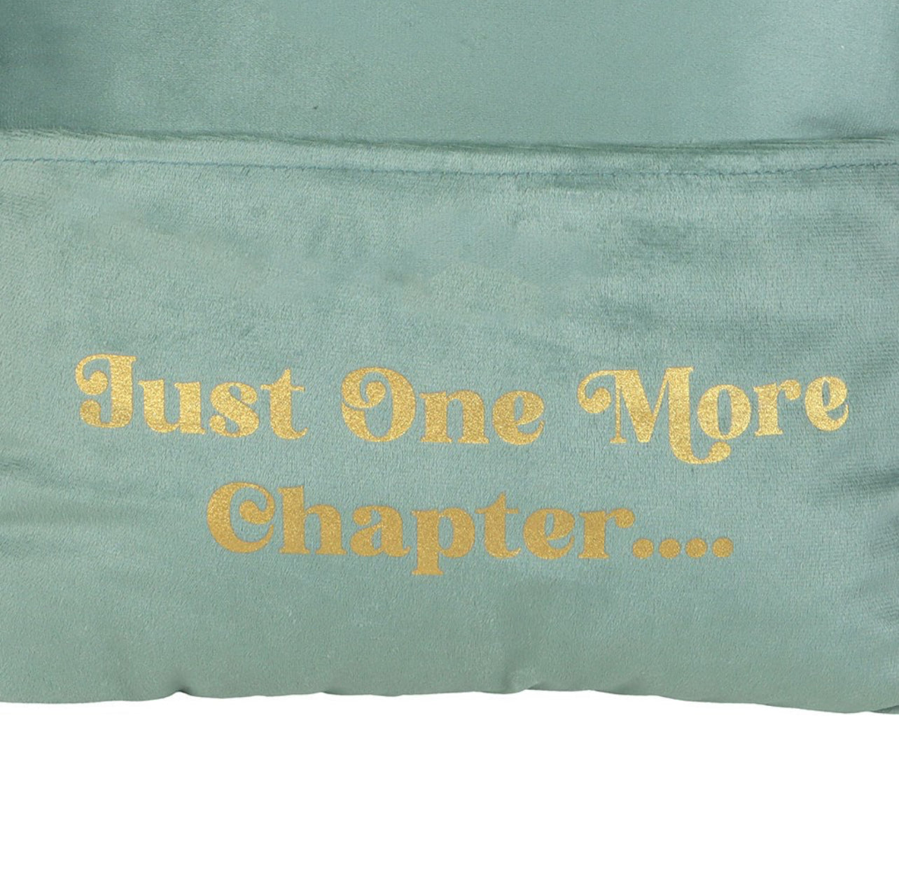 “Just One More Chapter” Cushion with Book Pocket