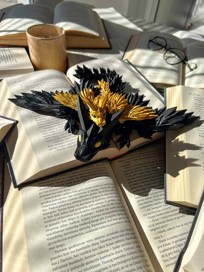 Flexible Fourth Wing Dragons