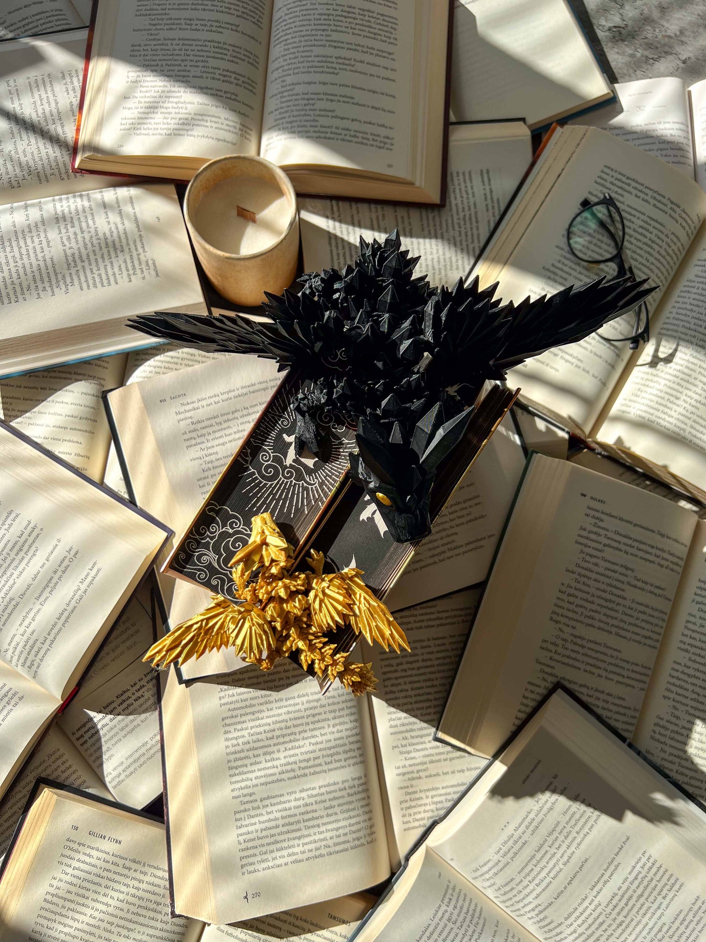 Flexible Fourth Wing Dragons