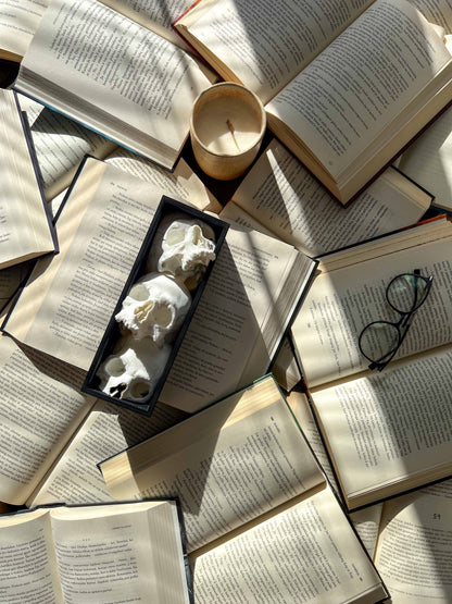 Booknook "Skulls"