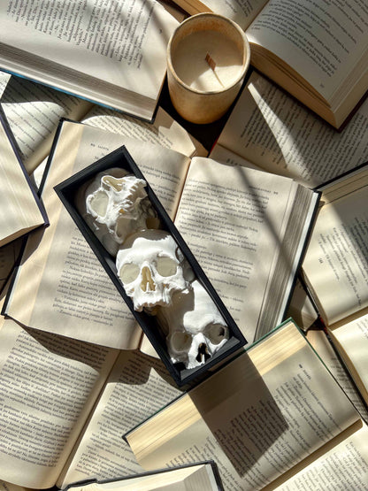 Booknook "Skulls"