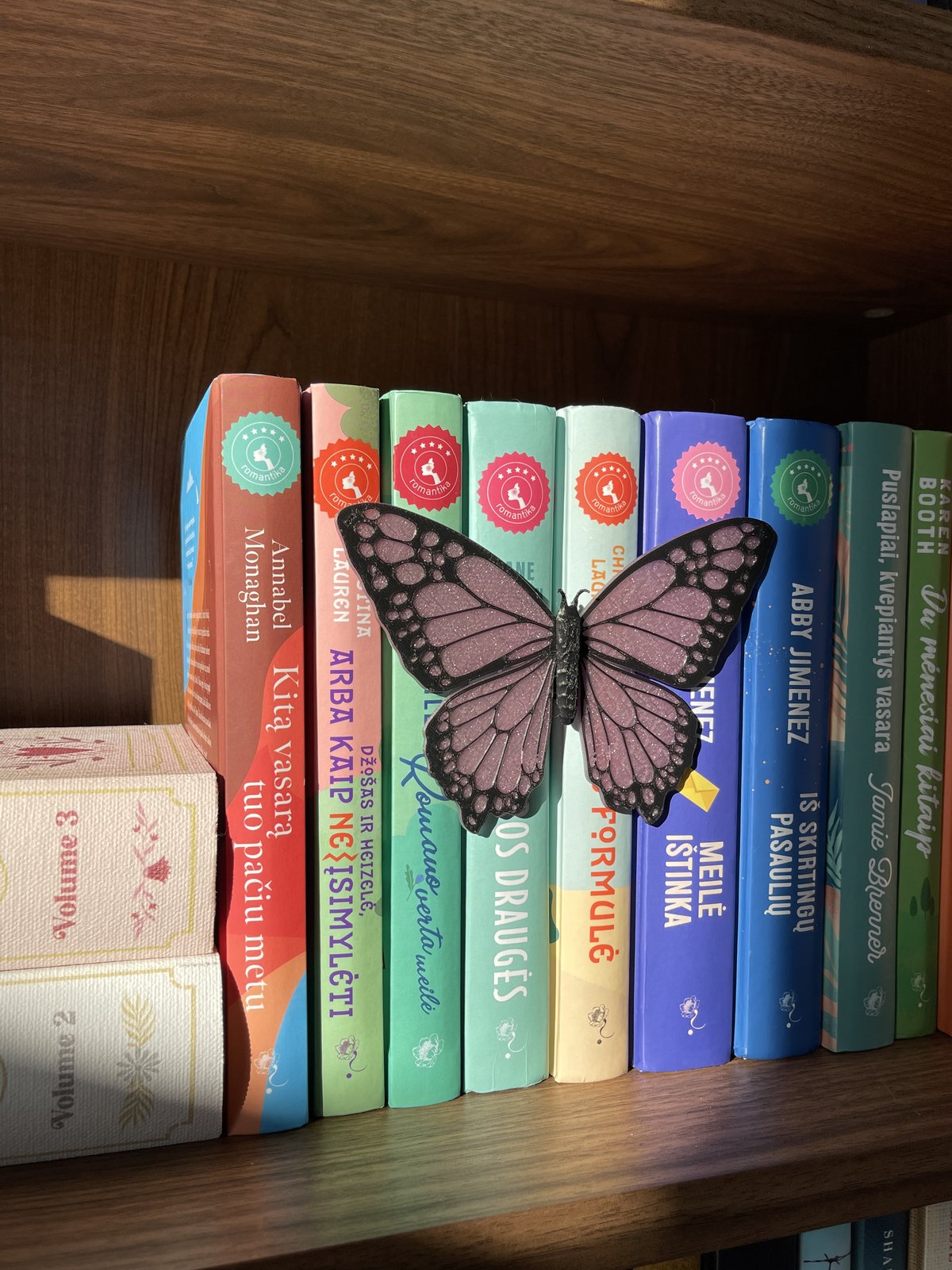Butterfly Book Decor