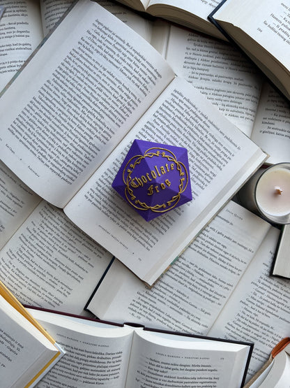 Chocolate Frog with Box from Harry Potter