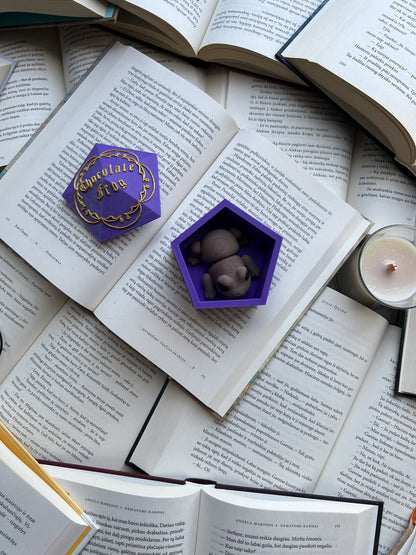 Chocolate Frog with Box from Harry Potter