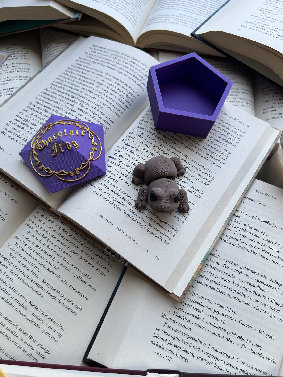 Chocolate Frog with Box from Harry Potter