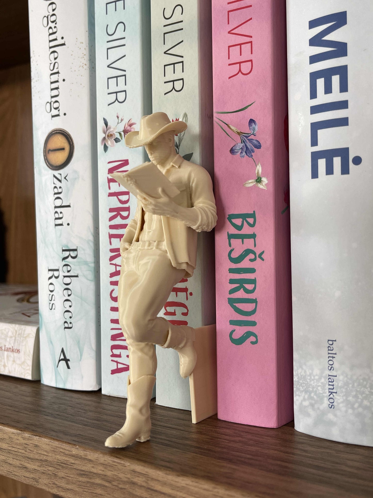 Bookshelf Insert “Cowboy Reader”