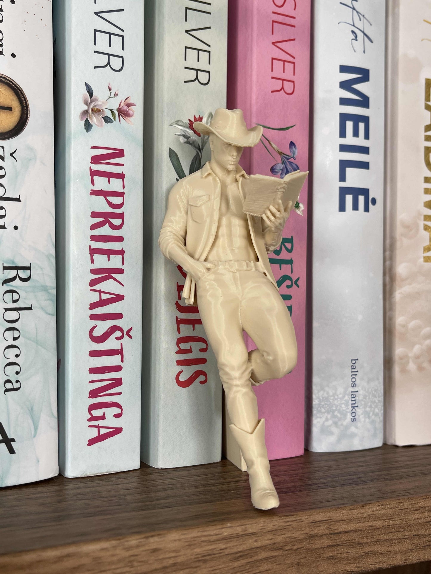 Bookshelf Insert “Cowboy Reader”