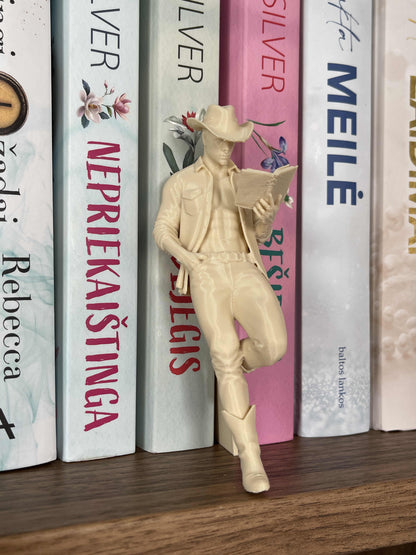 Bookshelf Insert “Cowboy Reader”