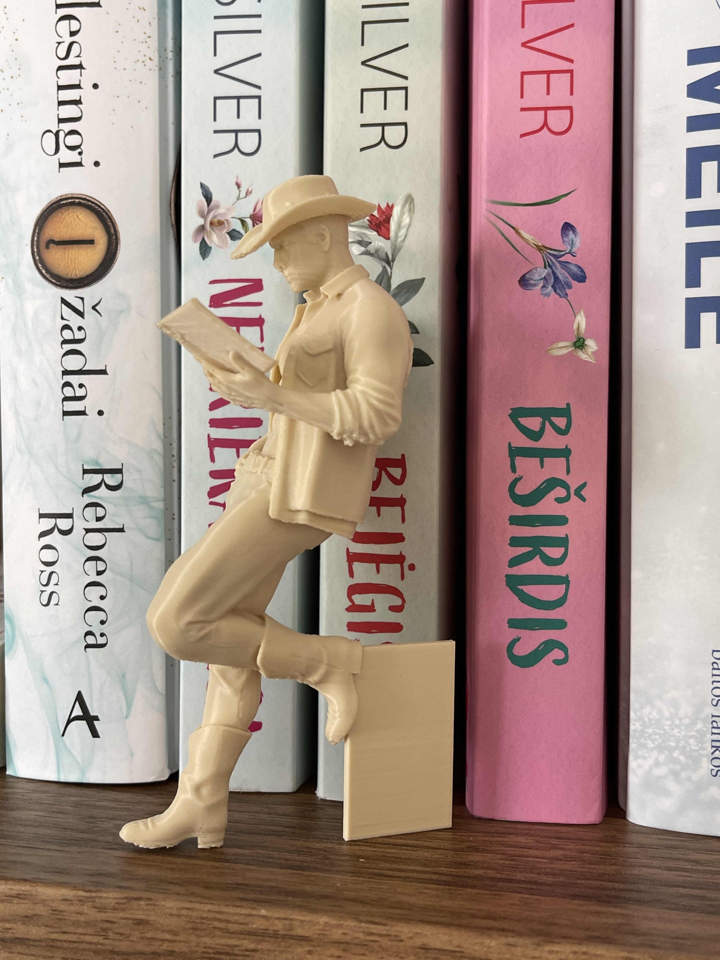 Bookshelf Insert “Cowboy Reader”