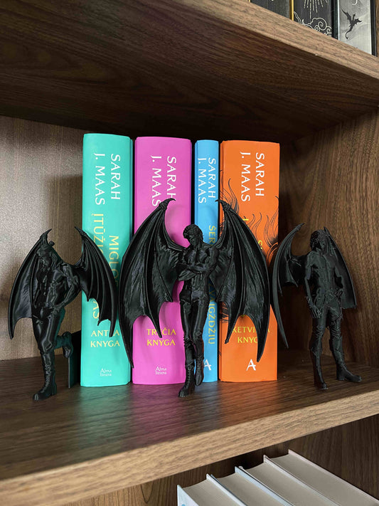 Bookshelf Insert “ACOTAR Bat Boys”