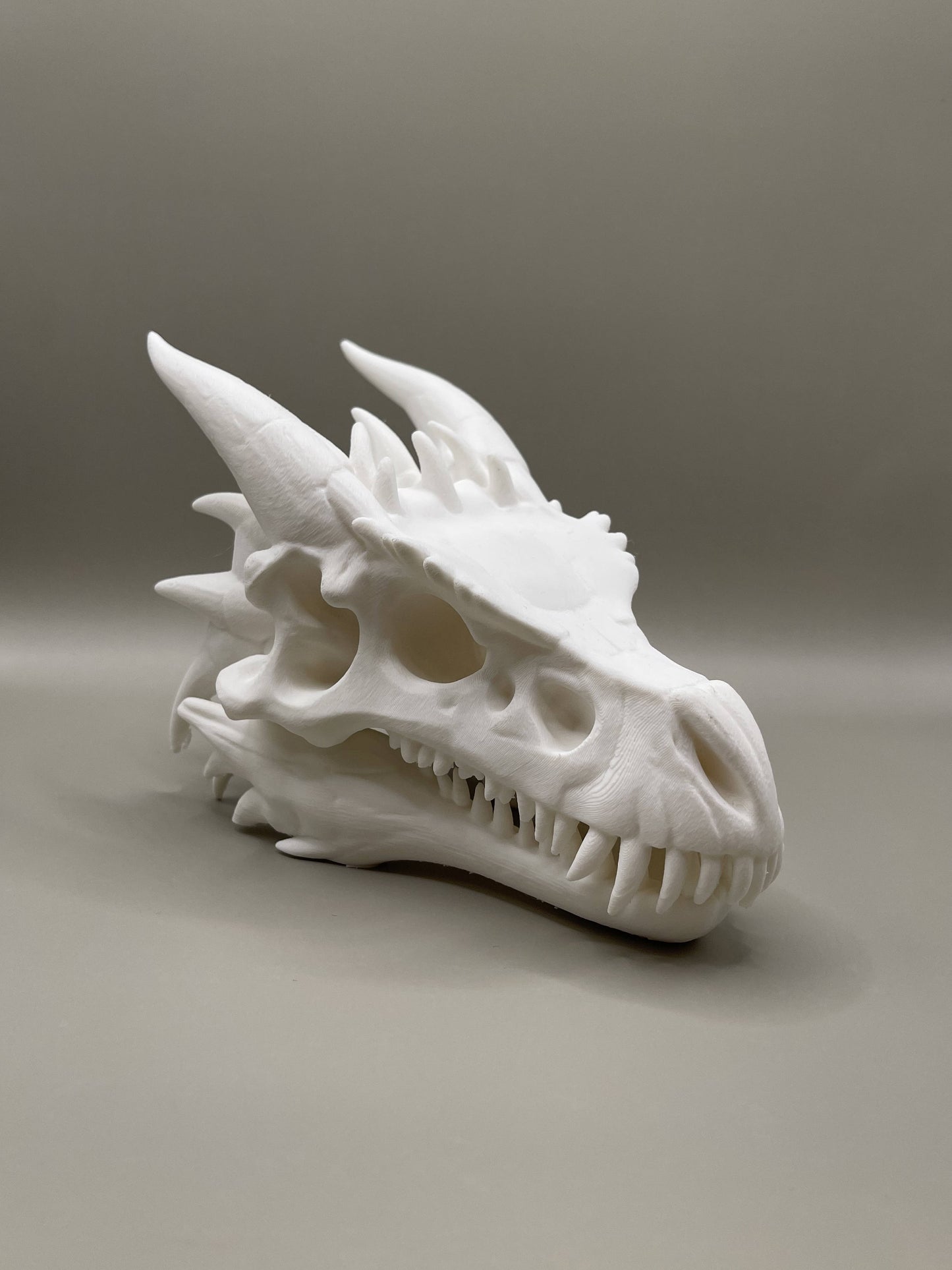 Dragon Skull Bookend