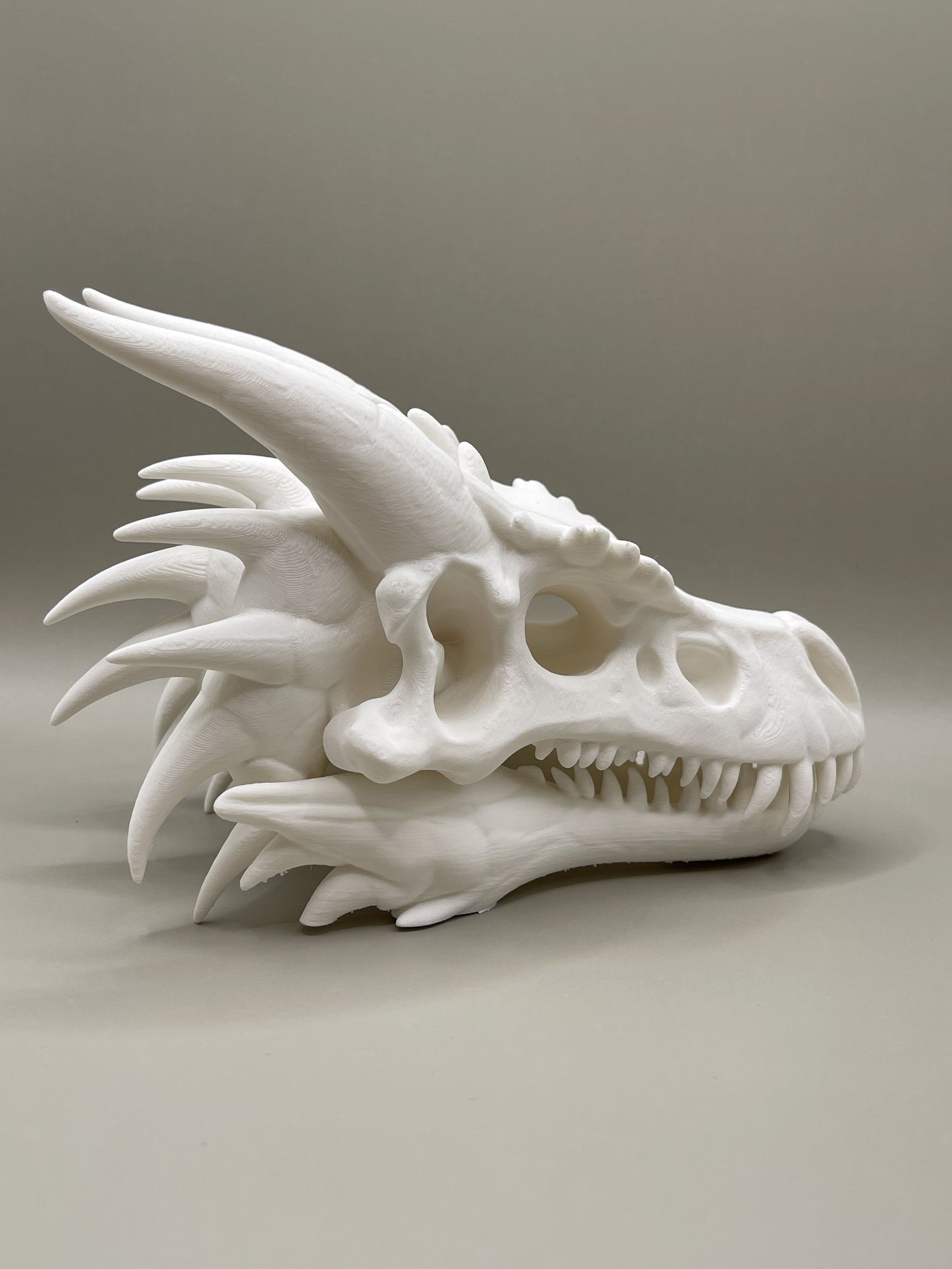 Dragon Skull Bookend
