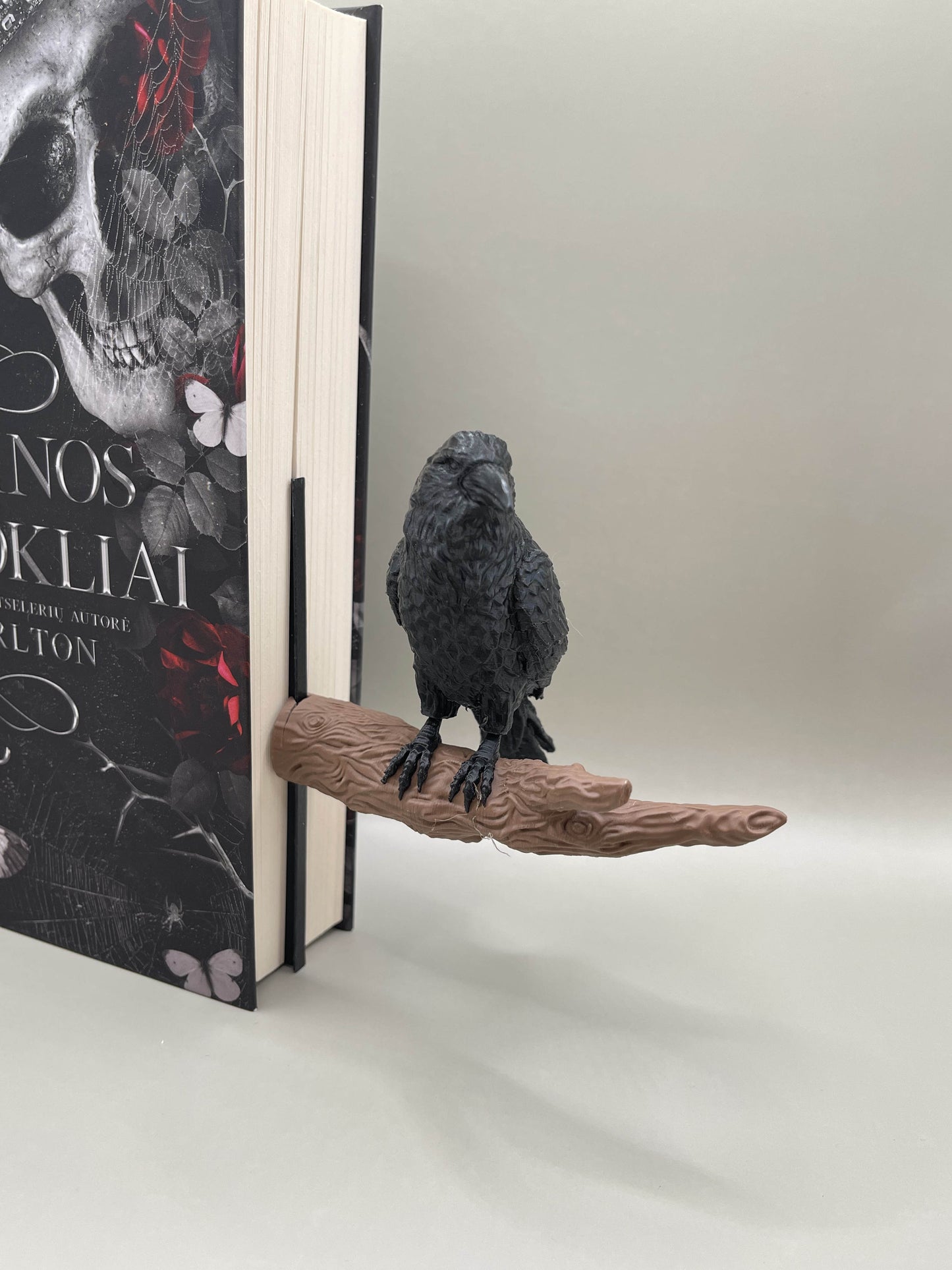 Raven Book Decoration