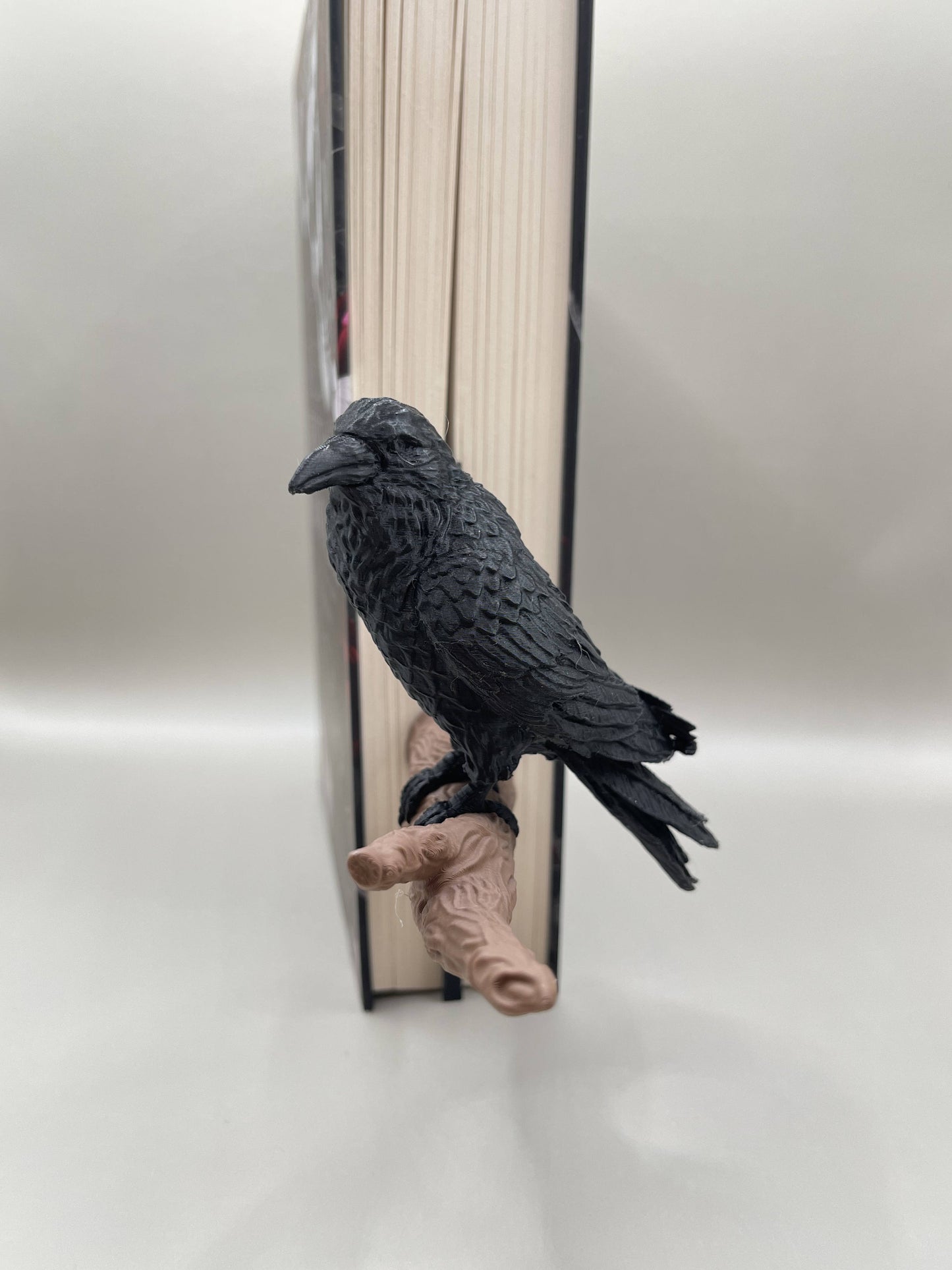 Raven Book Decoration