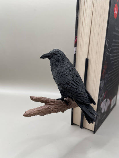 Raven Book Decoration