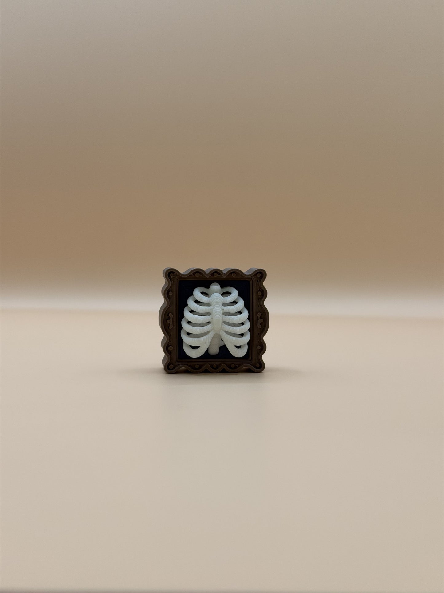 Ribcage Frame