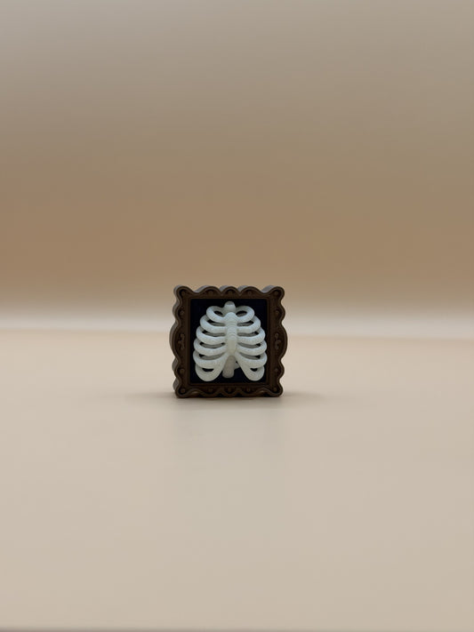 Ribcage Frame