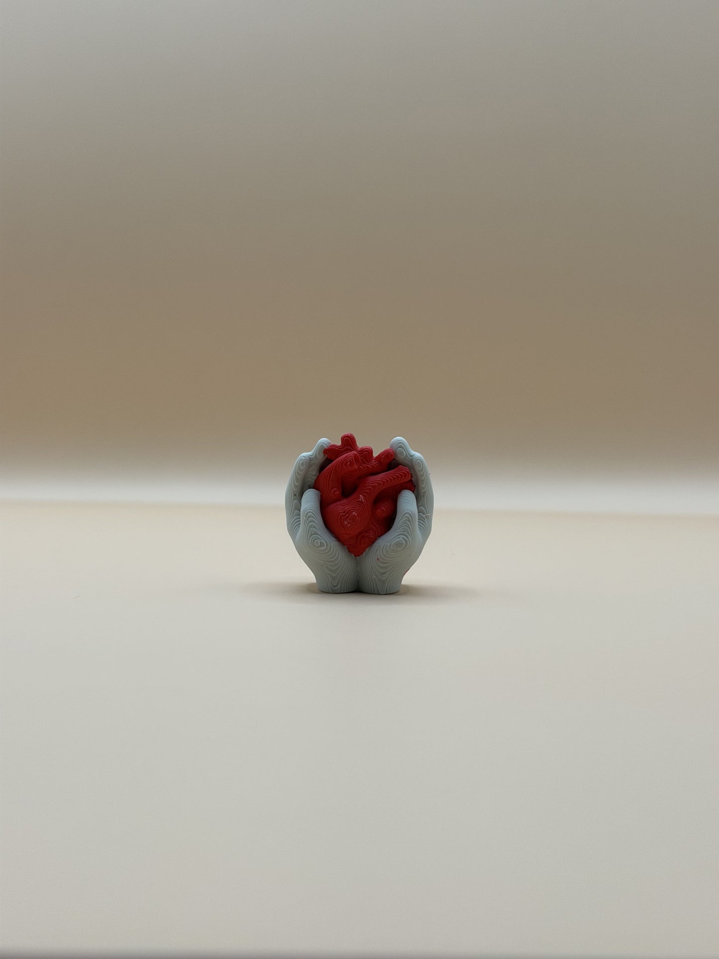 Anatomical Heart