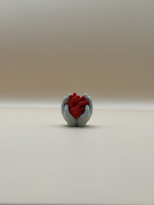 Anatomical Heart