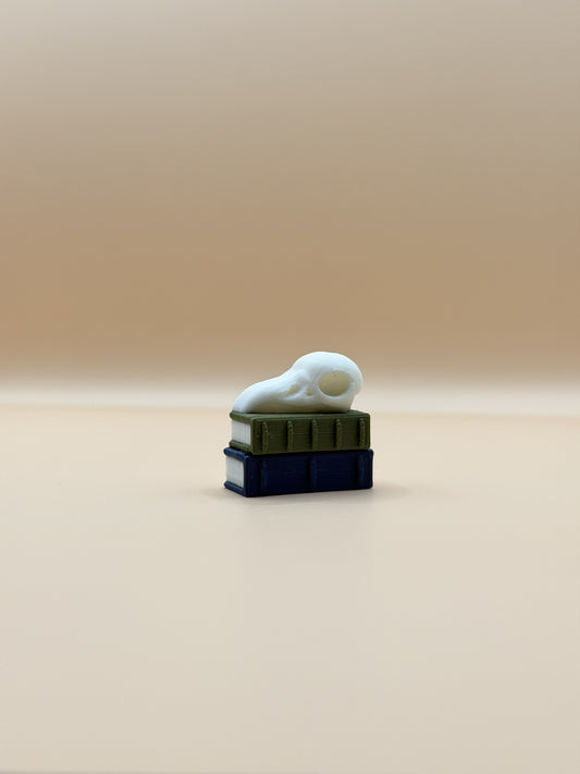 Skull on Books