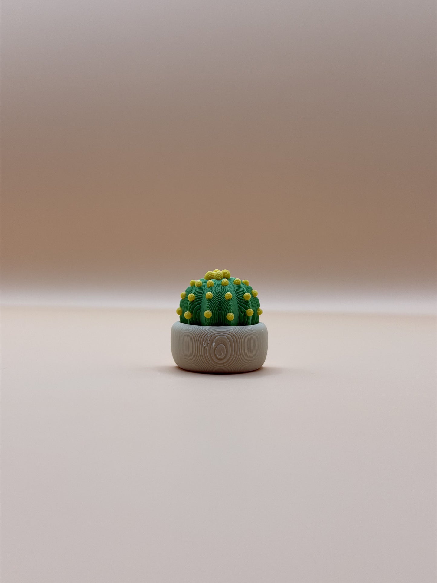 Mini Cactus