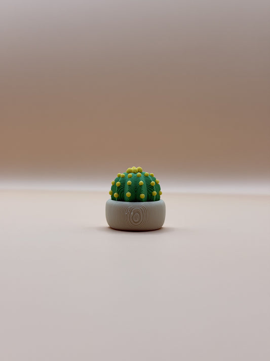 Mini Cactus