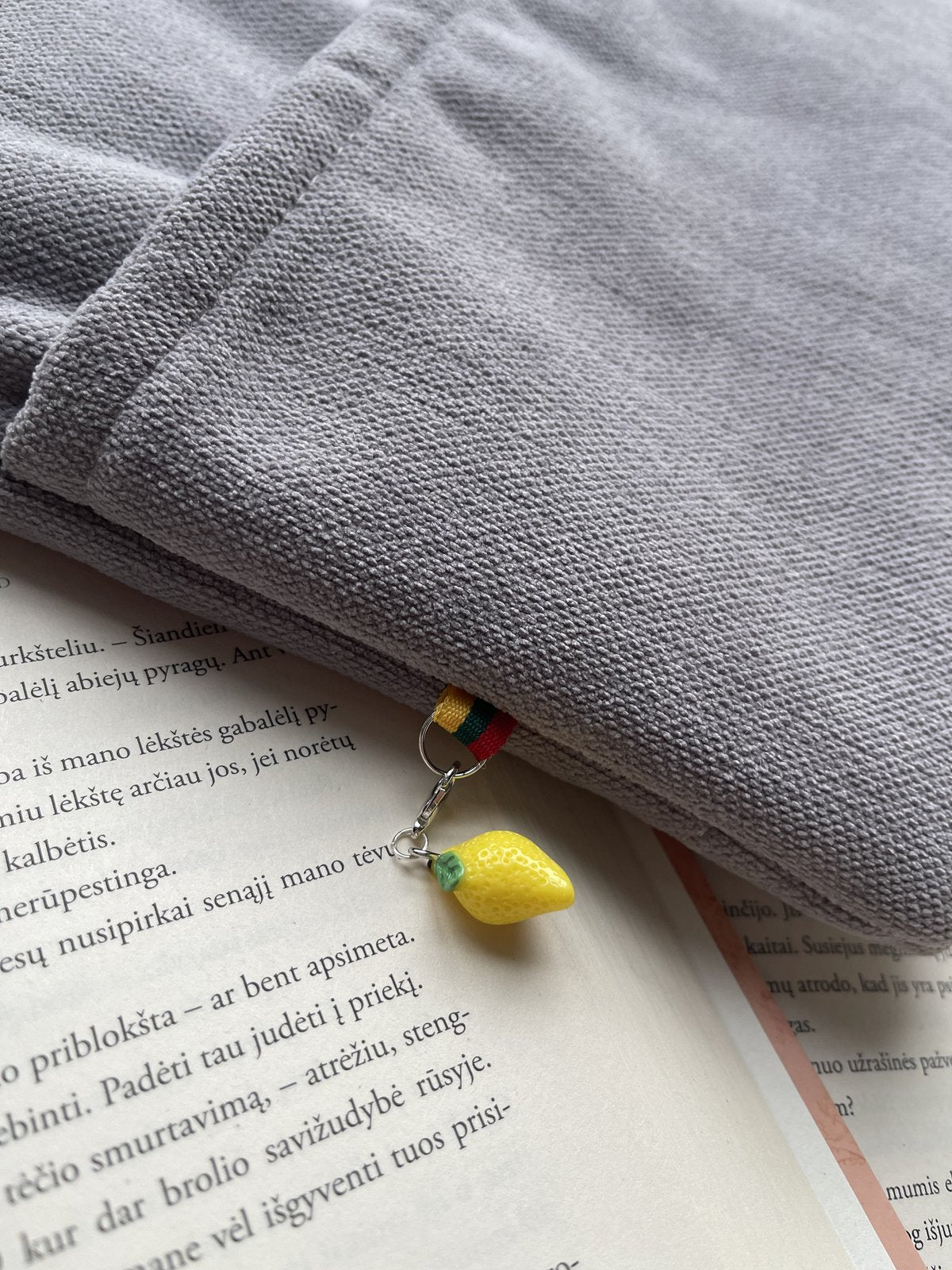 Silent Chapters + 2 bookmarks (for free)