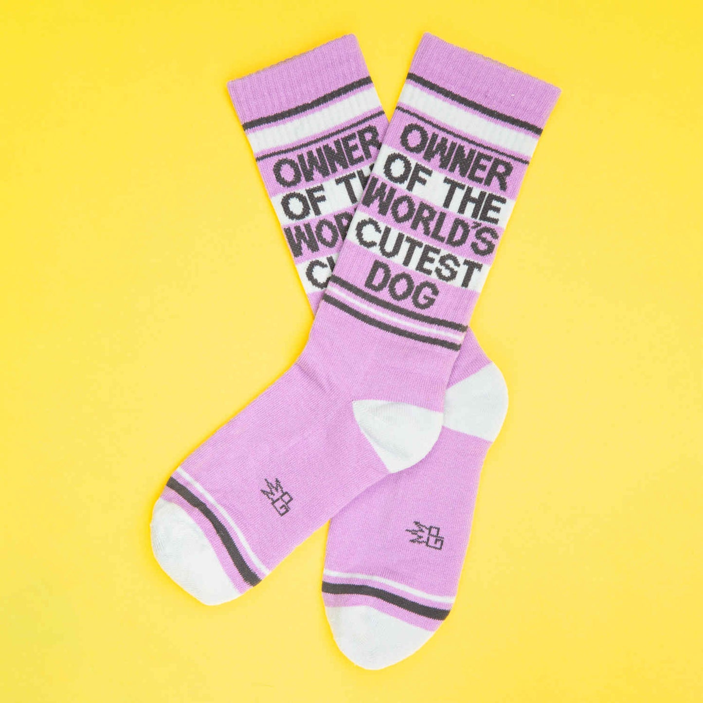 Owner Of The World’s Cutest Dog Gym Crew Socks