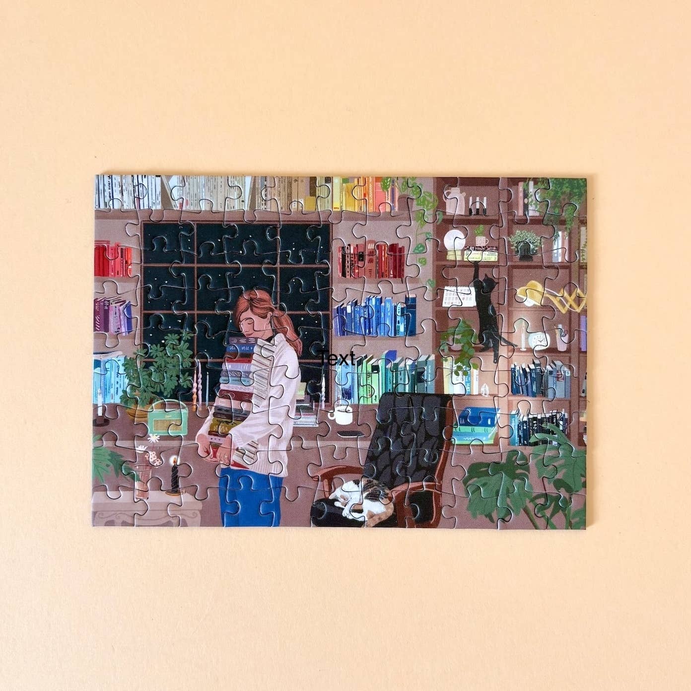 Mini-Puzzle Reading Room, 99 pieces